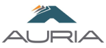 Auria Solutions GmbH