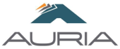 Auria Solutions GmbH